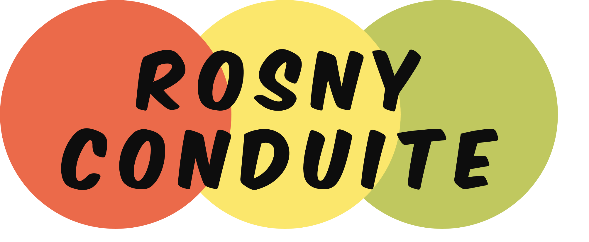 Rosny Conduite